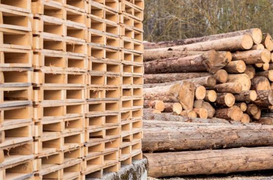 Környezetbarát raklapok: Fenntartható megoldások a logisztikában